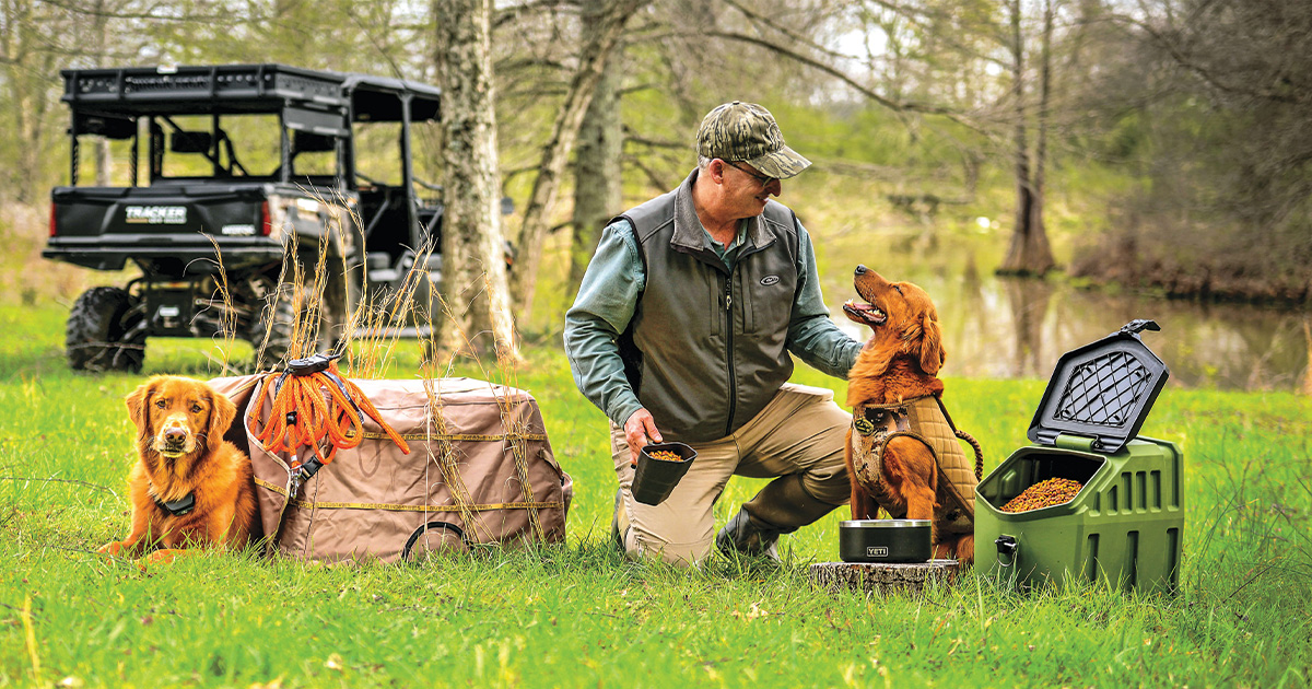 How Cold Is Too Cold For Duck Dog